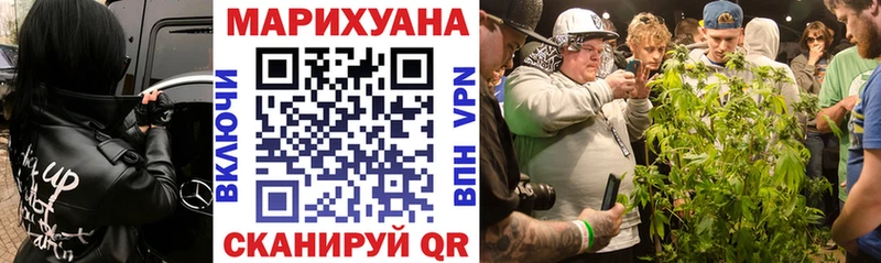 Купить где  Камбарка  Канабис ГИДРОПОН 